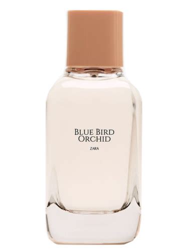 blue bird orchid zara perfume dupe|zara perfume dupe.